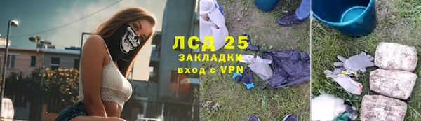 прущие грибы Елабуга