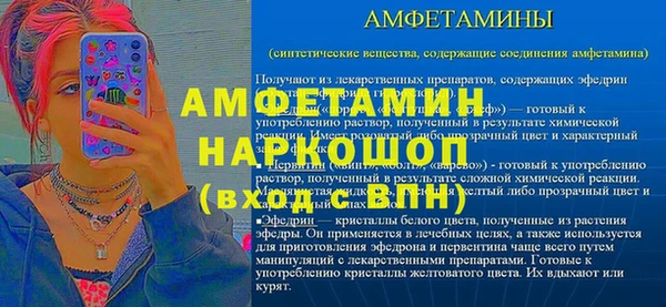 индика Ельня