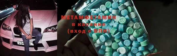 индика Ельня
