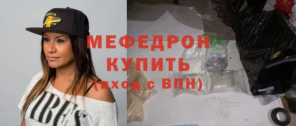 индика Ельня