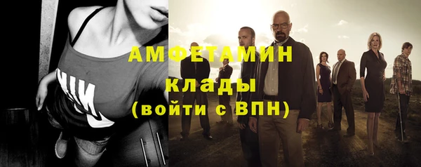 индика Ельня