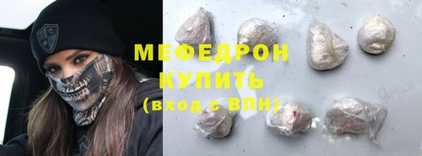 индика Ельня