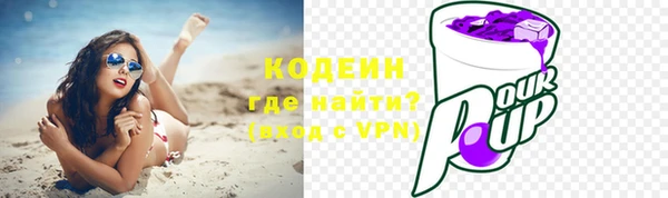 прущие грибы Елабуга