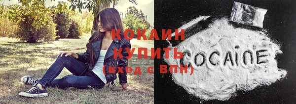 индика Ельня