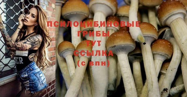 кристаллы Елизово