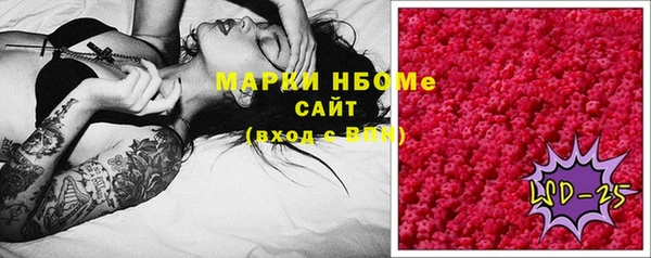 индика Ельня