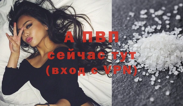 индика Дмитриев