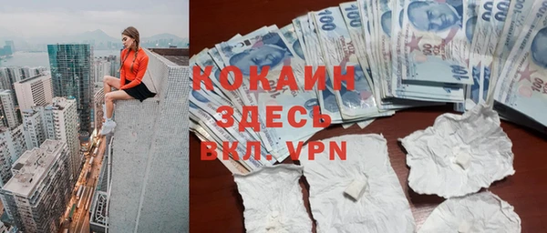 прущие грибы Елабуга