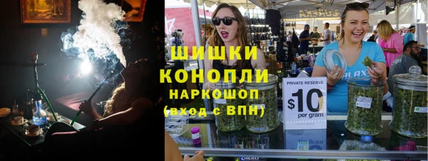 прущие грибы Елабуга