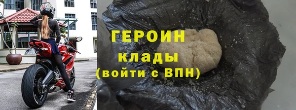 прущие грибы Елабуга