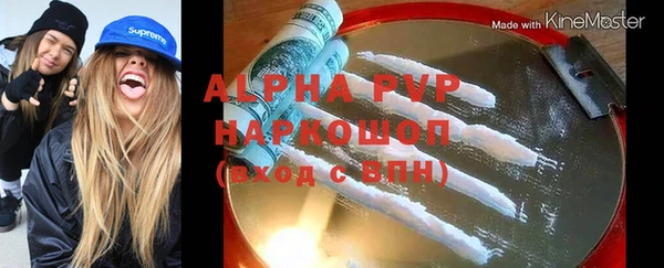 прущие грибы Елабуга