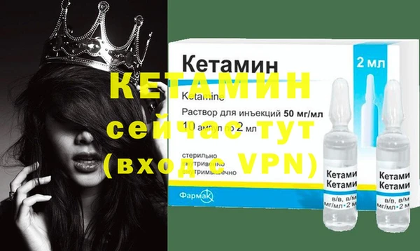 индика Ельня