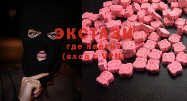 индика Ельня