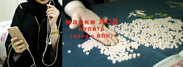 индика Ельня