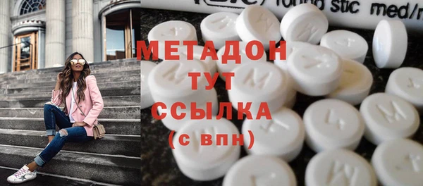 индика Ельня
