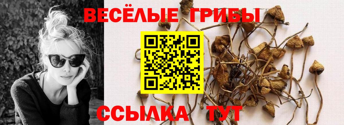 Галлюциногенные грибы мухоморы Саяногорск