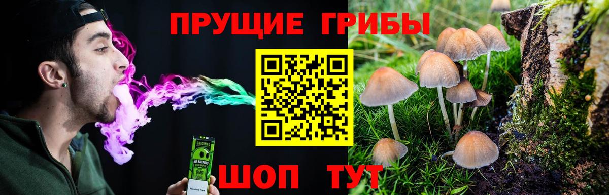 Галлюциногенные грибы Psilocybe  Вход с VPN  Саяногорск  Псилоцибиновые грибы ЛСД 